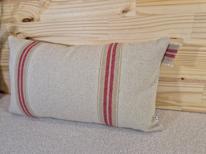 Housse de coussin 30x50